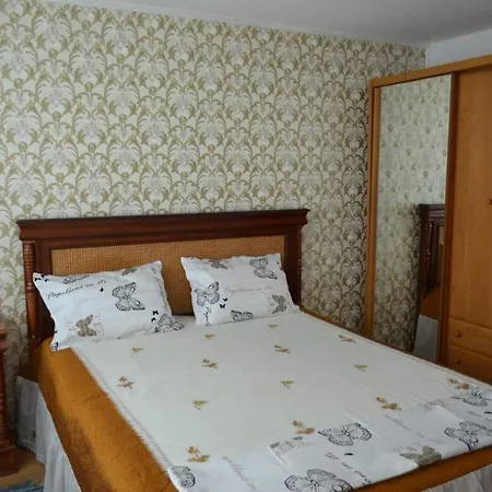 Vila Sasu * Costinesti